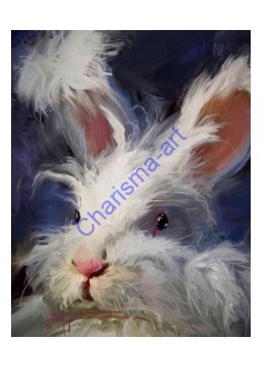 Fluffy Face Bunny Rabbit PRINTS